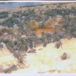 Area didattica 2002-2003